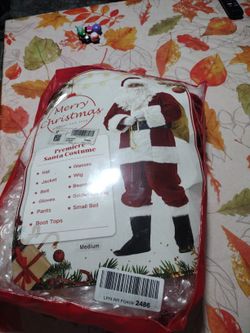 Santa Costume