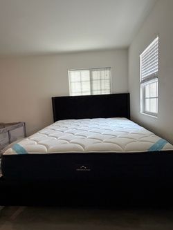 Cal King Bed