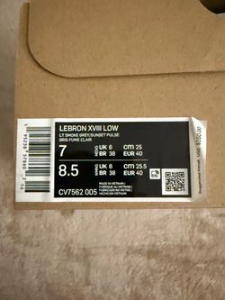 Lebron James space jams