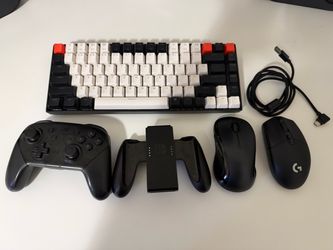 Gaming/Tech Bundle (Logitech, Keychron, Switch)