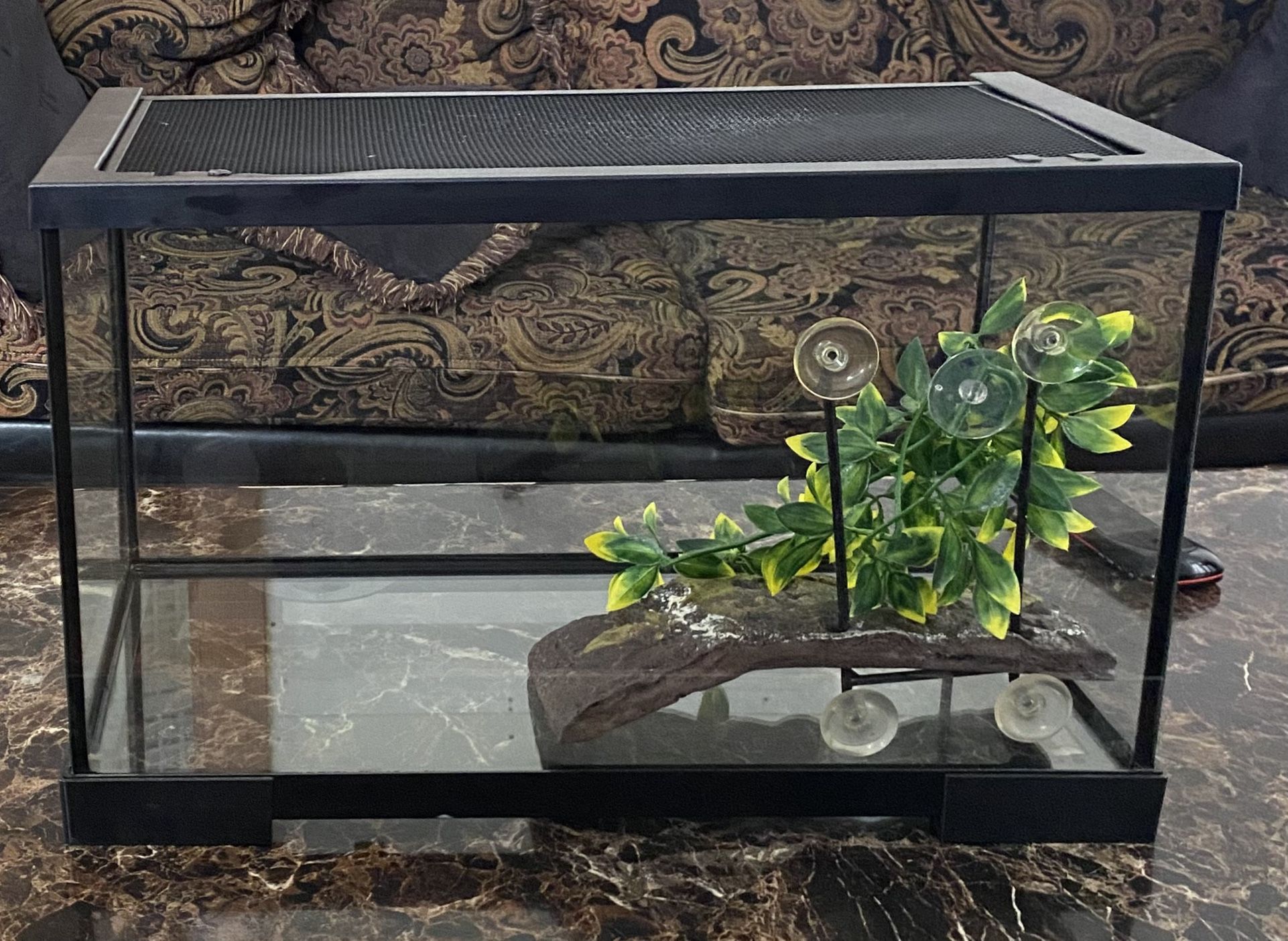 Reptile glass tank