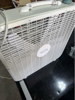 Fan