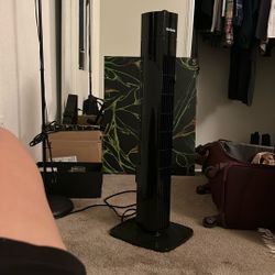 Fan