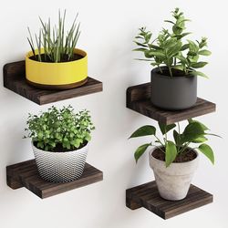 Plant wall shelves