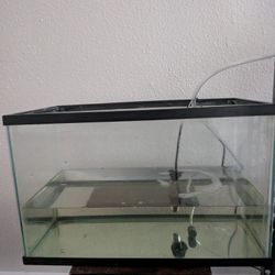 Fish Tank