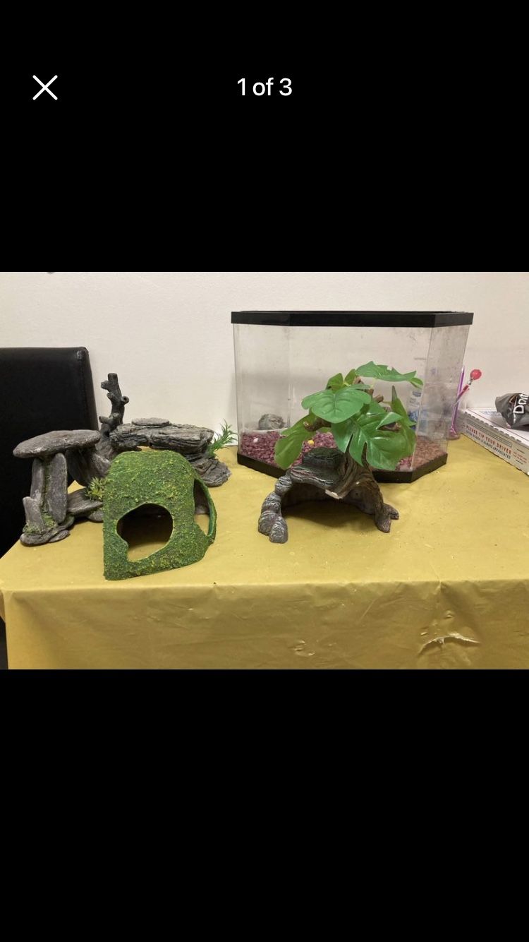 Aquarium Accessories