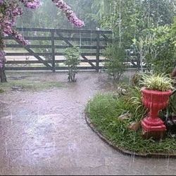 Vendo Ruta De Albercas 