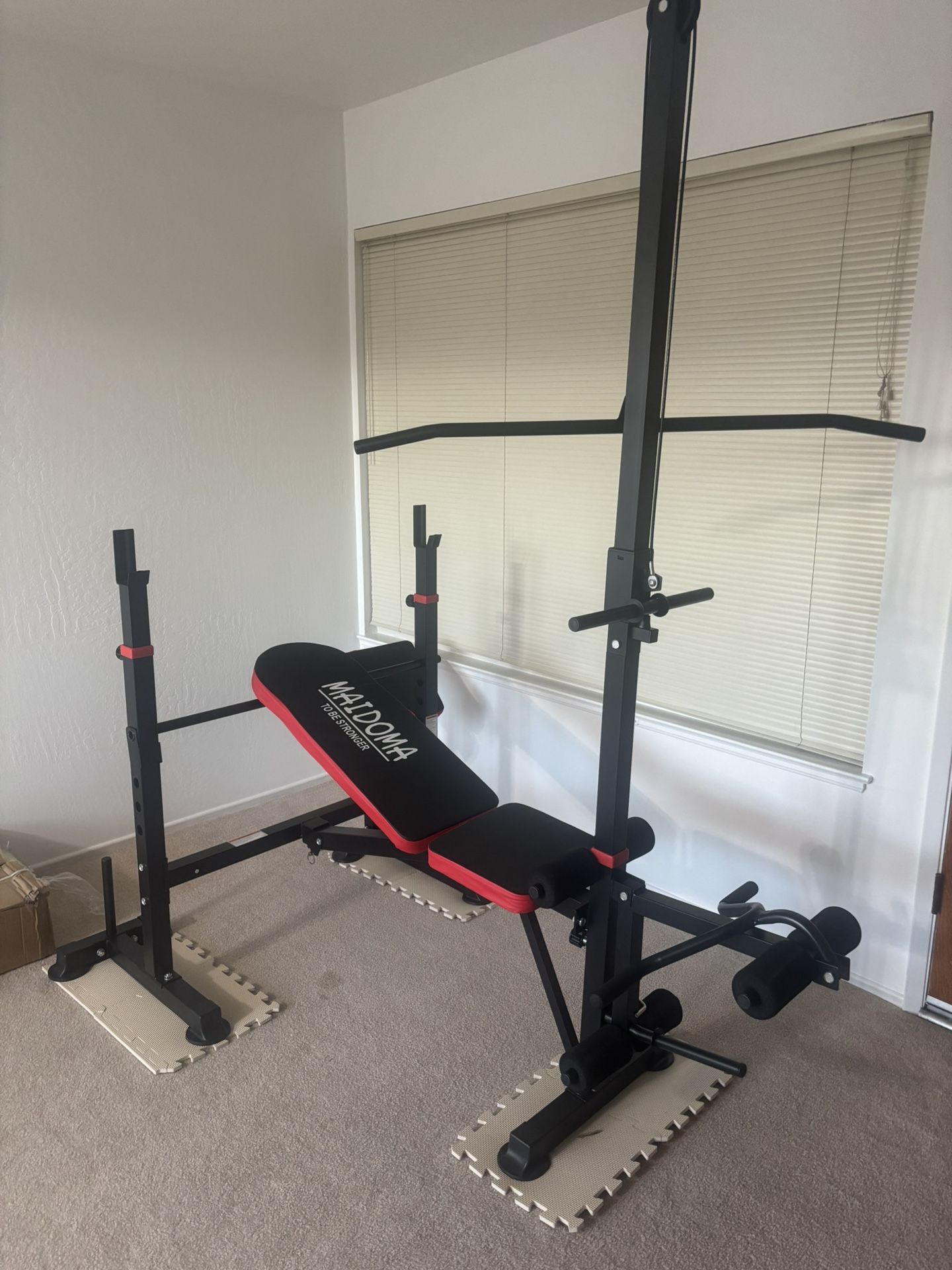 Adjustable Weight Bench - Multi-Functional (No Barbell)
