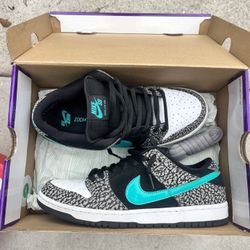 Nike Sb And Nike Dunks