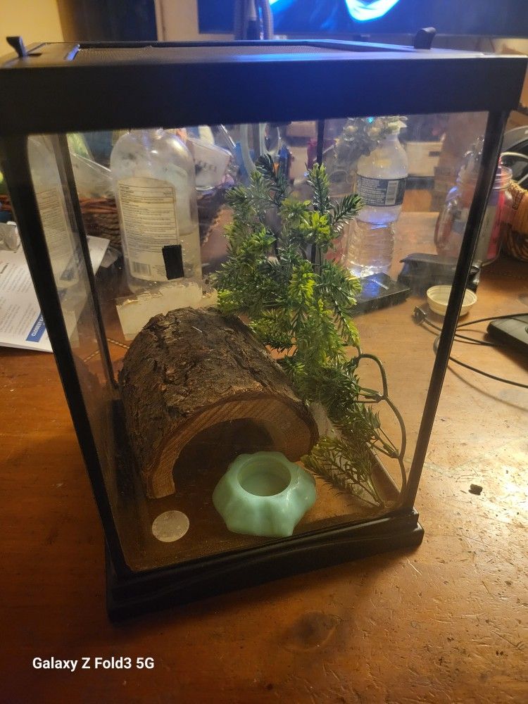 Pet Terrarium Set-up 12" X 8"