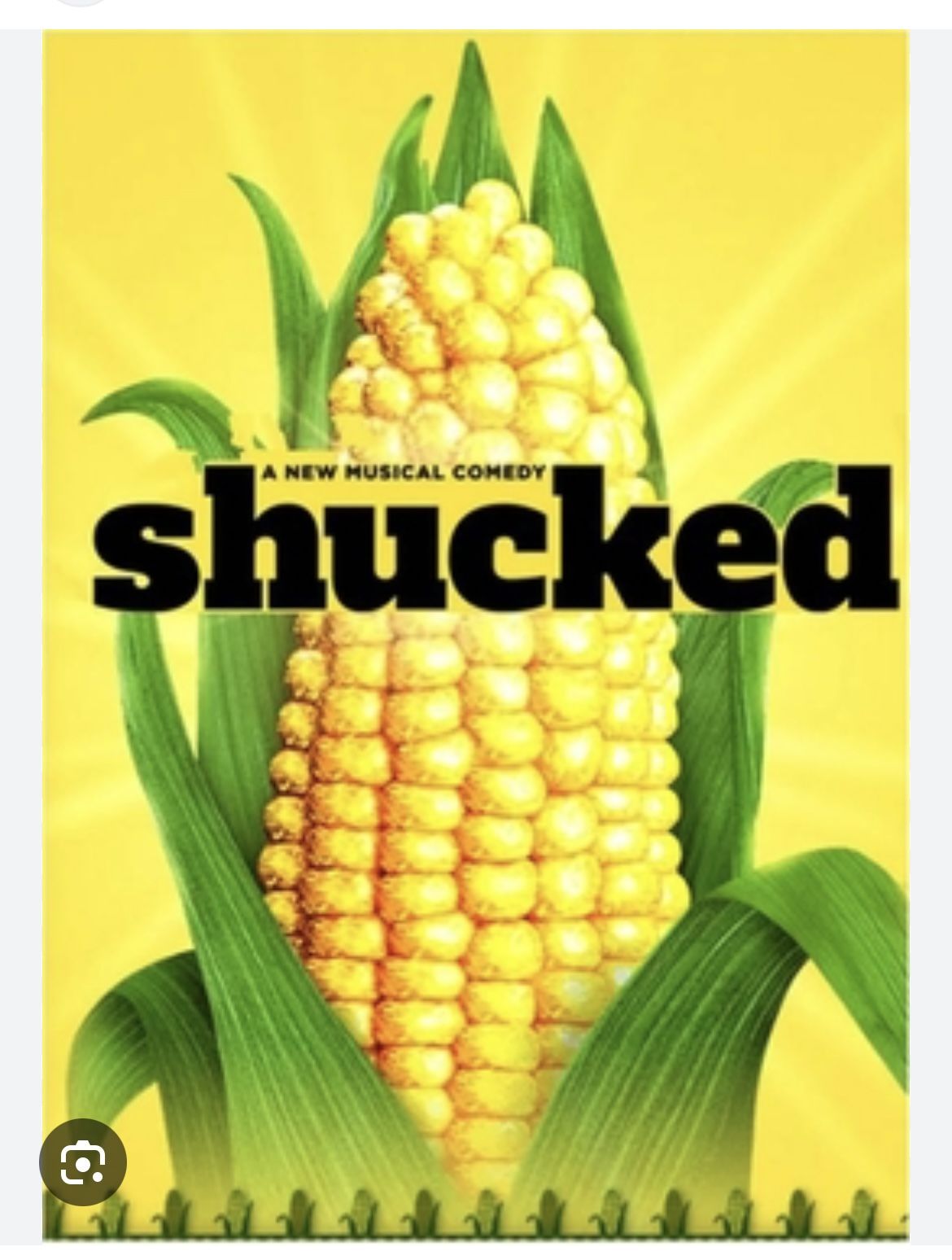 Shucked - Musical at Segerstrom