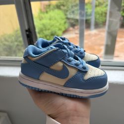 Toddler Nike Dunks 