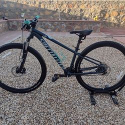 Specialized Rockhopper 29