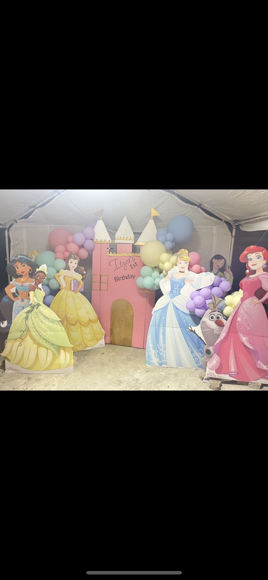 Disney Princess Party Decor 
