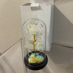 Colorful Rainbow Light Up Rose in A Glass Dome$20