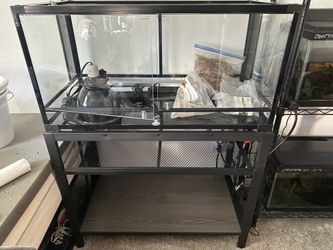 Reptile Premium 40 Gallon enclosure And Assessories