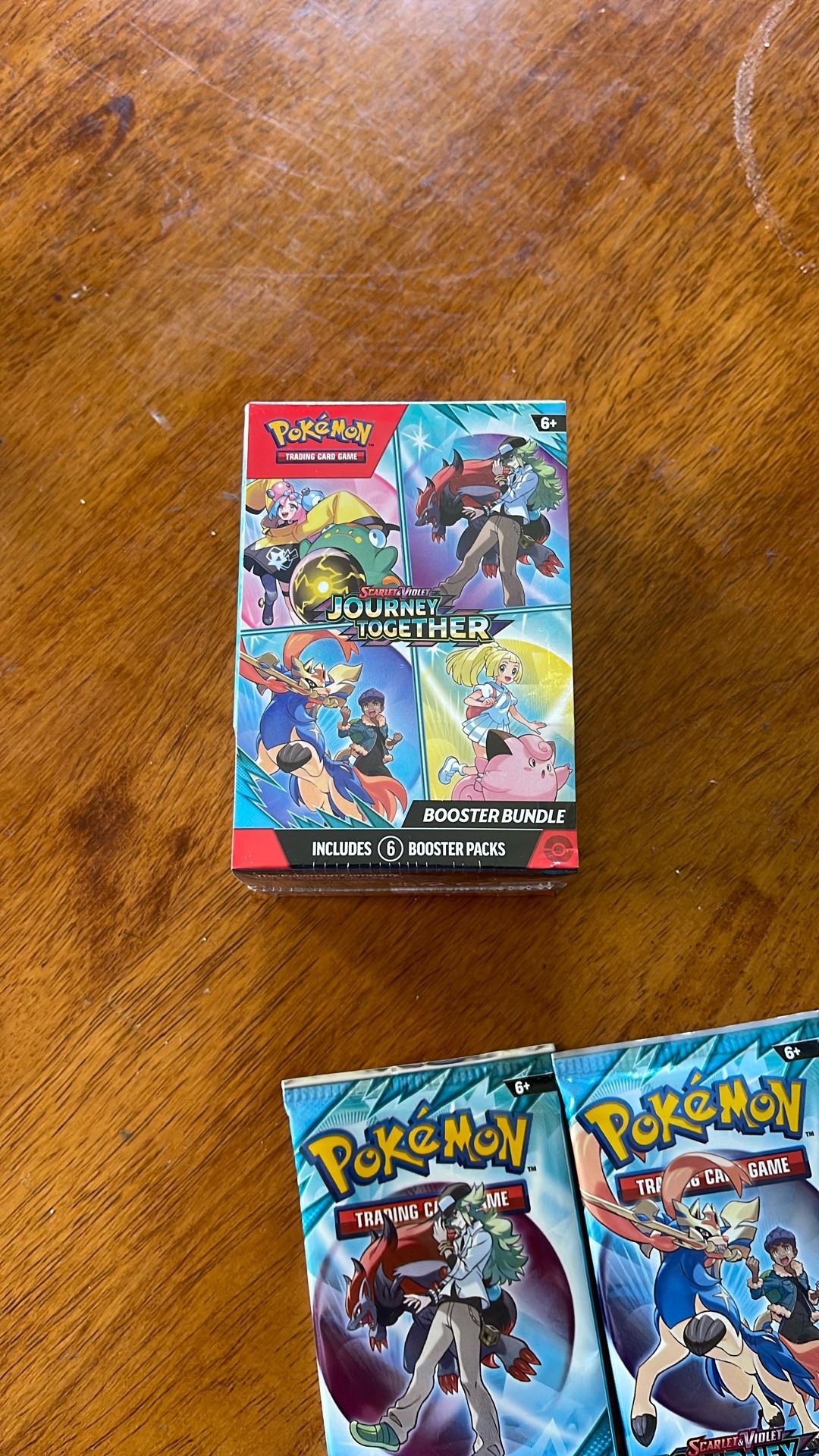 Pokemon SV Journey Together