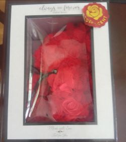 Valentine Bear
