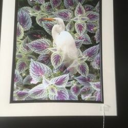 Black frame 25x29 crane picture