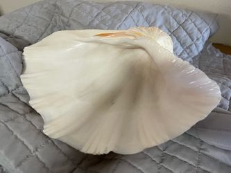 Large Vintage Seashell Food Server