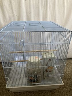 Bird Cage