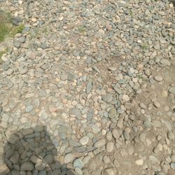 Free Rock For Garden