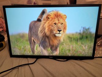 24" Monitor LED/LCD