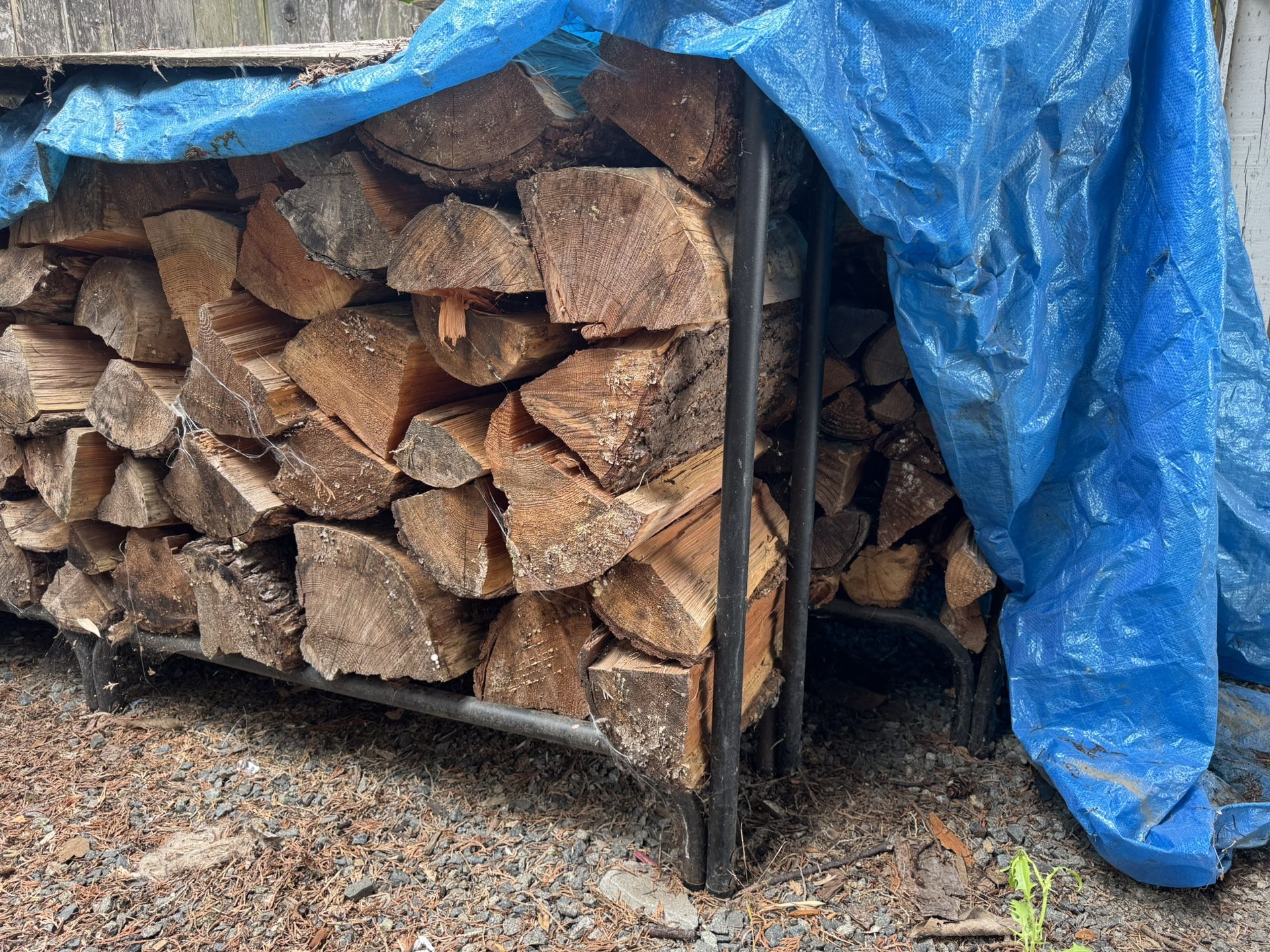 Firewood - No Charge