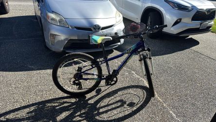 Cannondale 24” bike