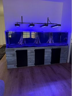 300 gal custom acrylic aquarium full system fish tank