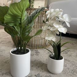 Fake Plants For Sale