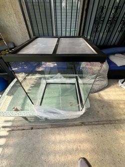 Brand New 18” x 18” x 24” Glass Reptile Terrarium – $150