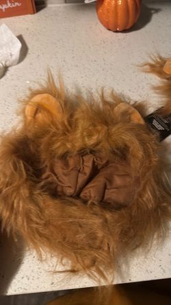 Dog costume 🦁 lion large