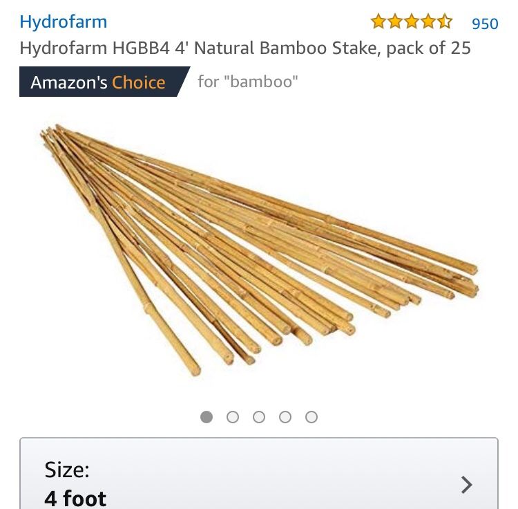 Bamboo Sticks 4’