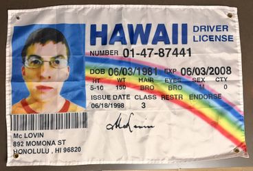 MCLOVIN ID POSTER FLAG