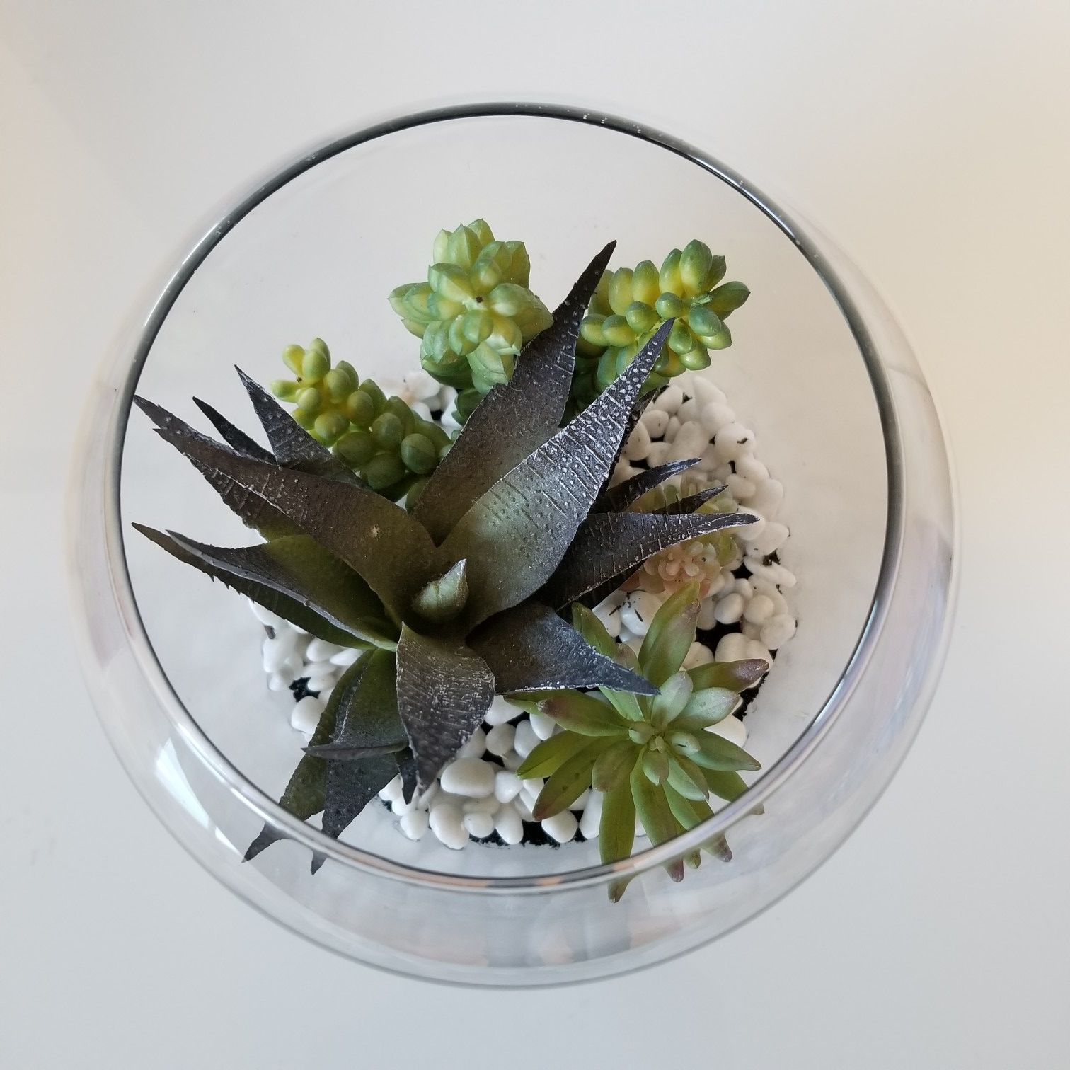 Fake Succulent Terrarium