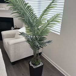 Plastic tall plant