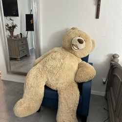 Big Teddy bear