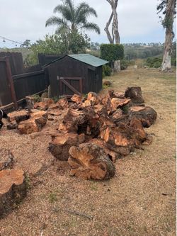 Free firewood
