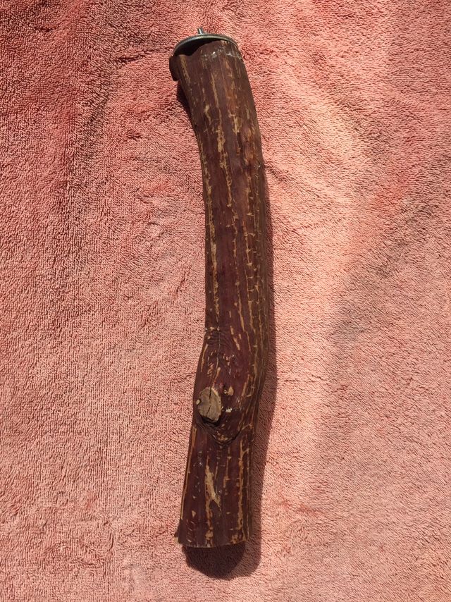 Parrot Perch