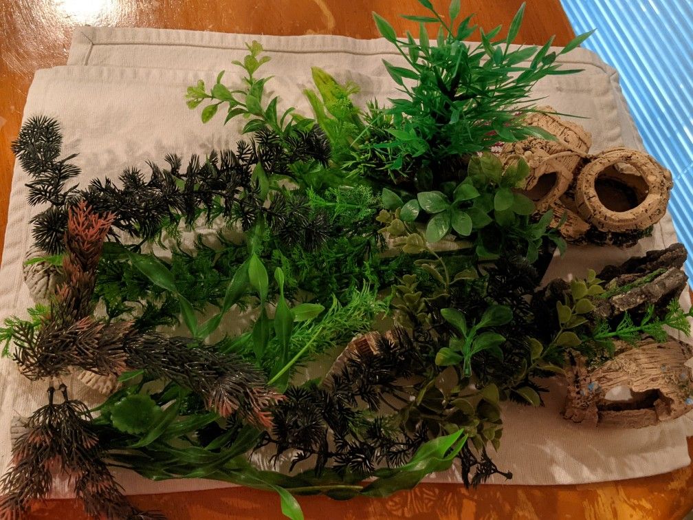 Assorted Aquarium Plants And Decorations