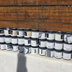 FREE PAINT SAMPLES 