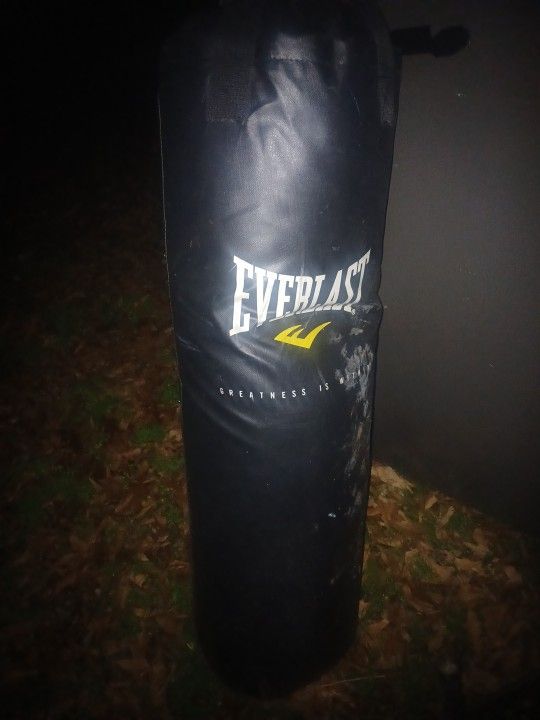 Everlast. Body Bag Like New 100lb