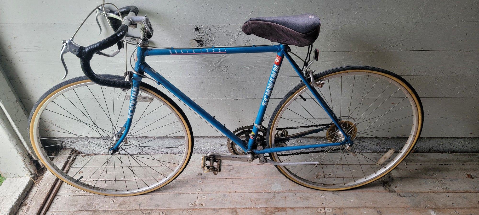 Vintage Schwinn 10sp