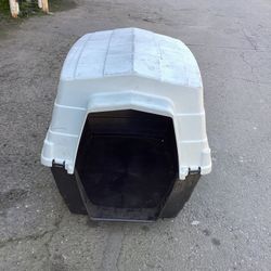 Dog House