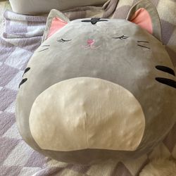 BIG Squishmallow