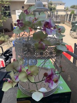 Envelope Cage For Envelope Gifts