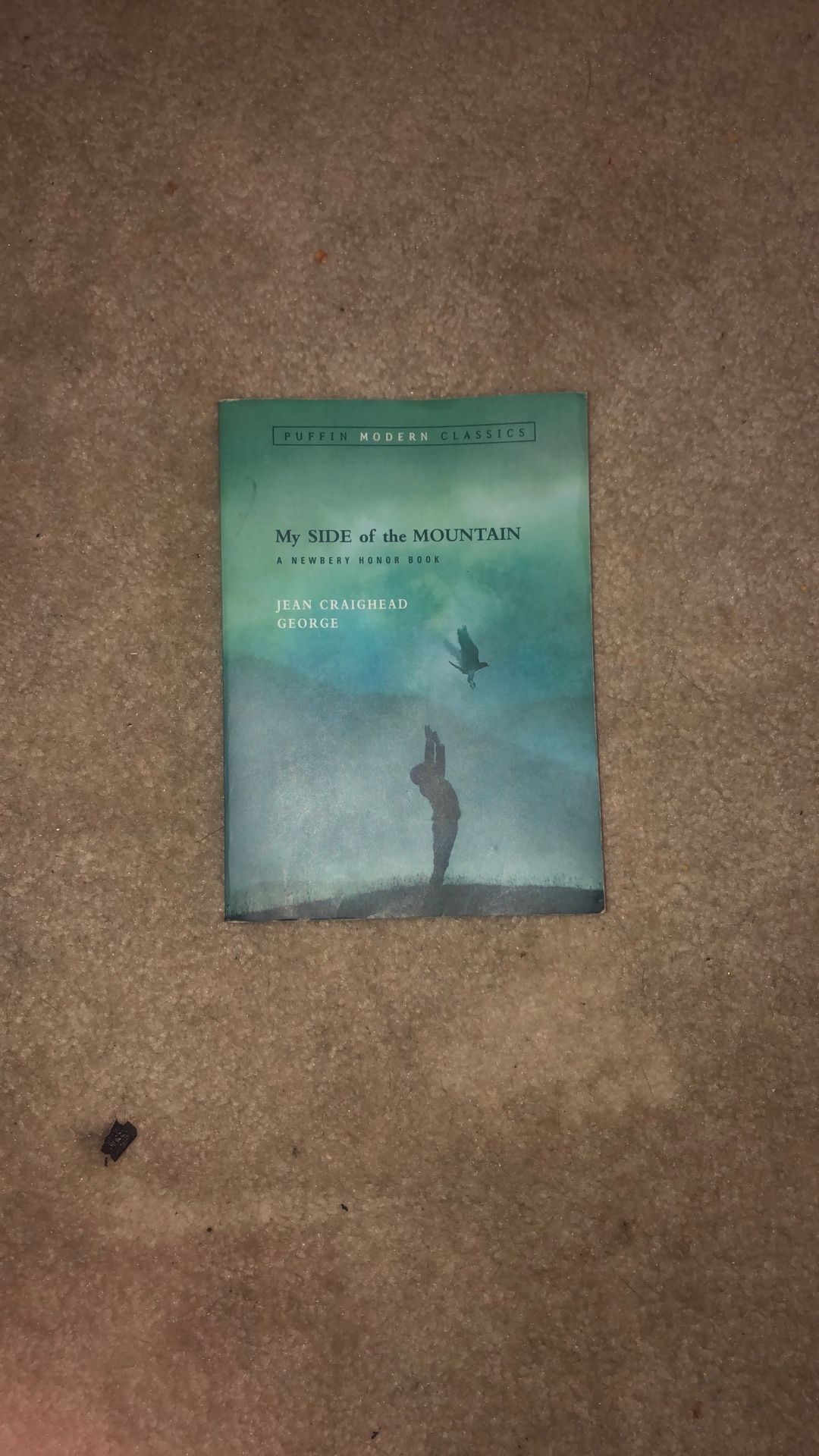My side of the mountain book