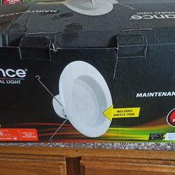 Recessed Downlight