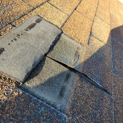 Cool Duration Shingles 